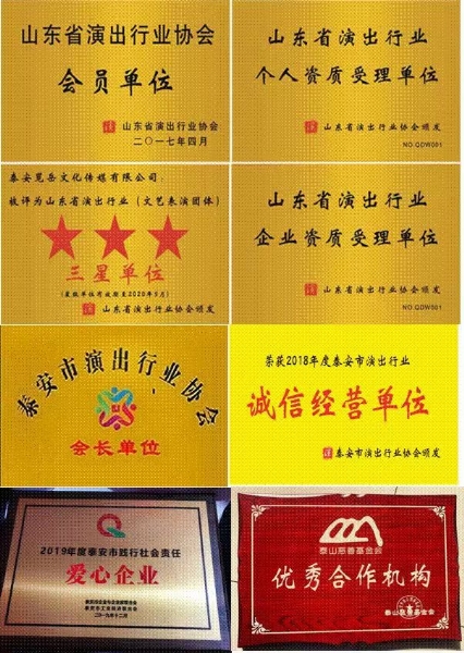 泰安览岳文化传媒有限公司